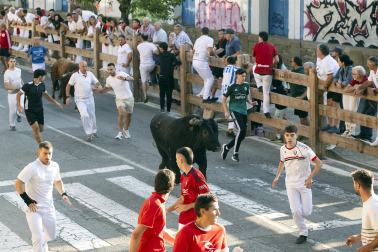Tafalla