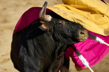 Festival mixto, este martes 18 de agosto, en Tafalla