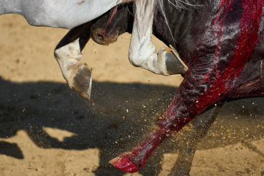 Festival mixto, este martes 18 de agosto, en Tafalla