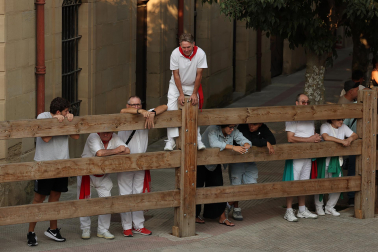 Fotos del quinto encierro de fiestas de Tafalla 2026