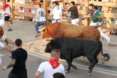 Fotos del quinto encierro de fiestas de Tafalla 2026