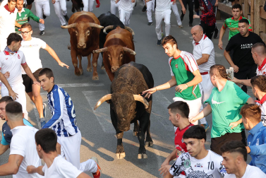 Fotos del quinto encierro de fiestas de Tafalla 2026