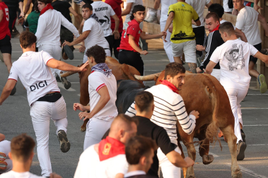 Fotos del quinto encierro de fiestas de Tafalla 2026