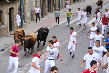 Fotos del quinto encierro de fiestas de Tafalla 2026
