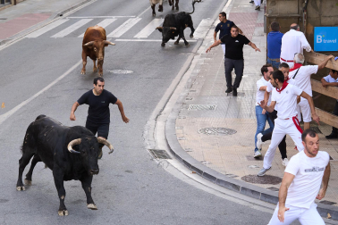 Fotos del quinto encierro de fiestas de Tafalla 2026