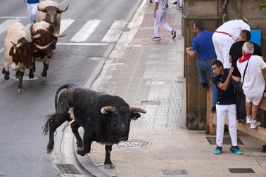 Fotos del quinto encierro de fiestas de Tafalla 2026
