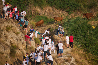 Fotos del cuarto encierro del Pilón 2026