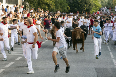 Fotos del quinto encierro de fiestas de Tafalla 2026