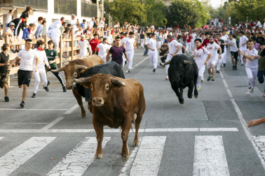 Fotos del quinto encierro de fiestas de Tafalla 2026