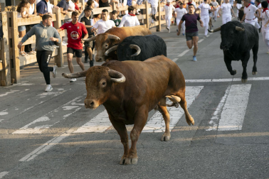 Fotos del quinto encierro de fiestas de Tafalla 2026