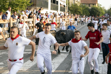 Fotos del quinto encierro de fiestas de Tafalla 2026
