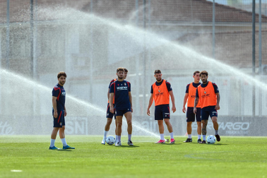 Osasuna