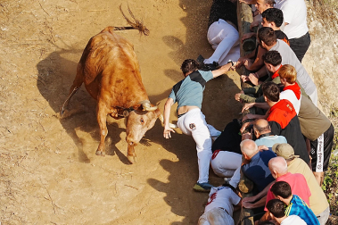 Fotos del quinto encierro del Pilón 2026