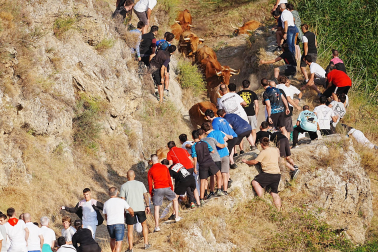 Fotos del quinto encierro del Pilón 2026
