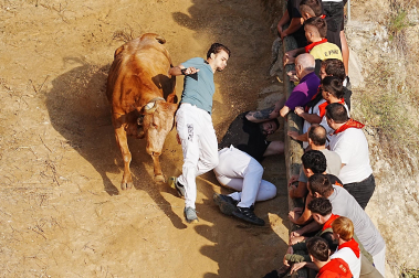 Fotos del quinto encierro del Pilón 2026