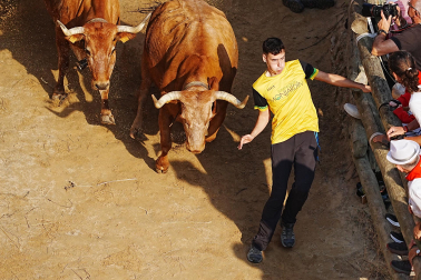 Fotos del quinto encierro del Pilón 2026