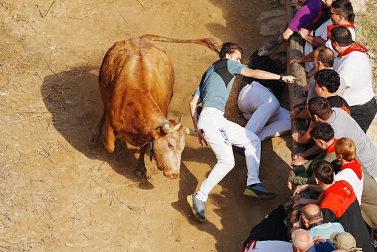Fotos del quinto encierro del Pilón 2026