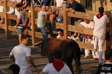 Fotos del sexto y último encierro de Tafalla 2026
