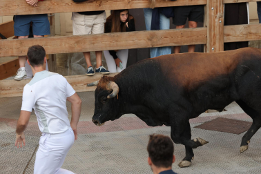 Fotos del sexto y último encierro de Tafalla 2026