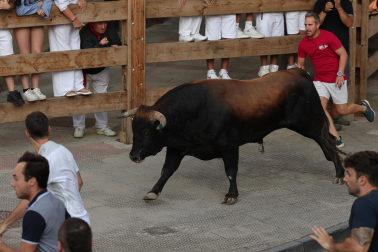 Fotos del sexto y último encierro de Tafalla 2026