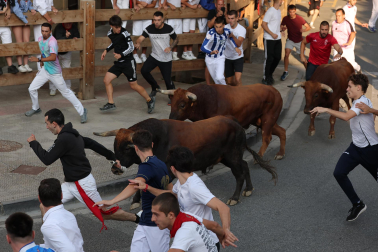 Fotos del sexto y último encierro de Tafalla 2026