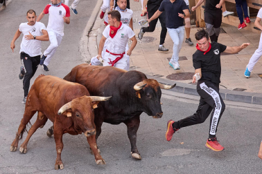 Fotos del sexto y último encierro de Tafalla 2026