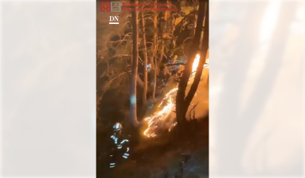 El fuego lo provocó un rayo el viernes 14 de agosto en la peña Gazpar, una zona limítrofe entre Urzainqui, Isaba, Roncal y Garde