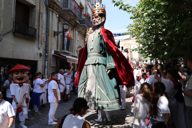 Fotos de la despedida de los gigantes de Tafalla