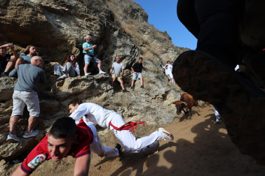Fotos del sexto encierro del Pilón de Falces 2026