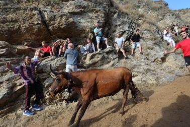 Fotos del sexto encierro del Pilón de Falces 2026