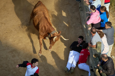 séptimo encierro del Pilón de Falces 2026