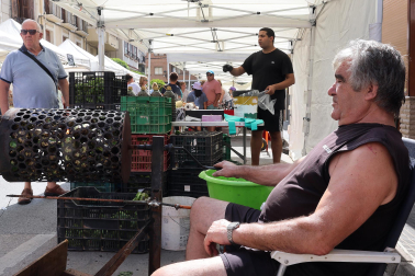 Día del Cucón en Peralta
