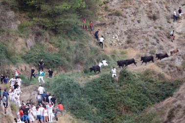 Octavo encierro del pilón de Falces