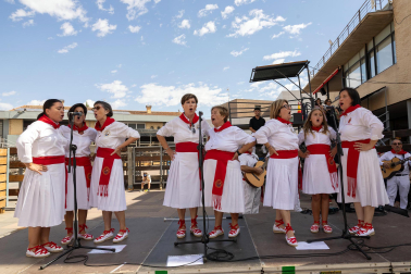 Fotos de la procesión en honor a San Bartolomé en fiestas de Ribaforada 2026