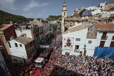 Fotos de la Tomatina 2026 de Buñol