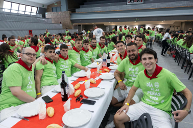 Foto de la celebración del Día de las Peñas en Ribaforada