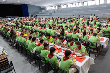 Foto de la celebración del Día de las Peñas en Ribaforada