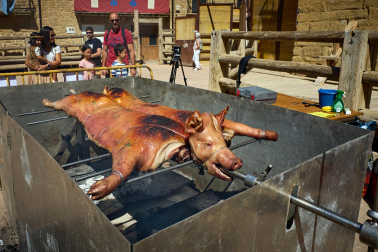 Fotos del inicio de las fiestas medievales en Artajona