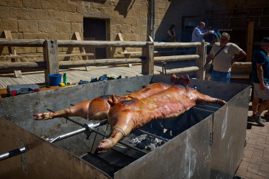 Fotos del inicio de las fiestas medievales en Artajona