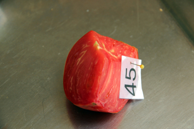 El primer premio de la categoría del tomate Más Sabroso se lo llevó Joaquín Marín Royo, quien cultivo su ejemplar en Mosquera. “Es la primera vez que me presento, y la cosa no ha podido salir mejor”, bromeó Marín, quien recordó que hace dos años “cultivé un tomate tan feo que hubiera dado que hablar en Tudela”