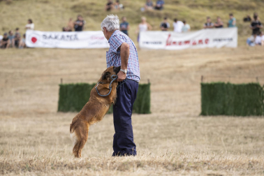 Fotos del certamen de perros pastor en Uharte Arakil