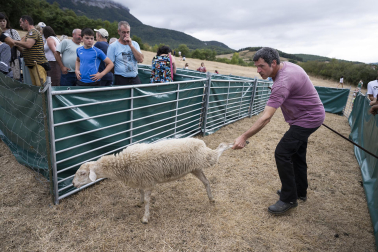 Fotos del certamen de perros pastor en Uharte Arakil