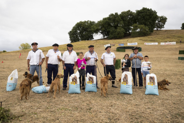 Fotos del certamen de perros pastor en Uharte Arakil