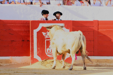 Fotos de la novillada de Peralta este domingo 30 de agosto