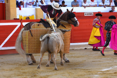 Fotos de la novillada de Peralta este domingo 30 de agosto