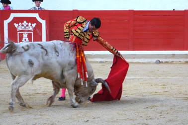Fotos de la novillada de Peralta este domingo 30 de agosto