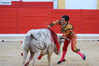 Fotos de la novillada de Peralta este domingo 30 de agosto