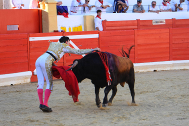 Fotos de la novillada de Peralta este domingo 30 de agosto