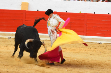 Fotos de la novillada del 1 de septiembre en Peralta