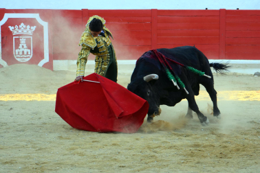 Toros de José Cruz para los diestros Cristian González, Nacho Torrejón y Mario Vilau en la novillada del 3 de septiembre de 2026 durante las fiestas de la localidad